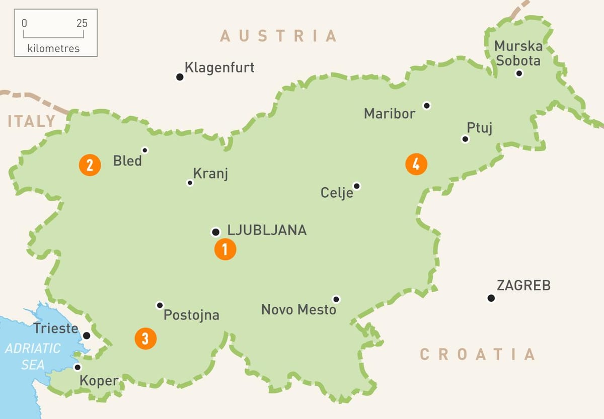 Kaart van Slovenië regio ' s